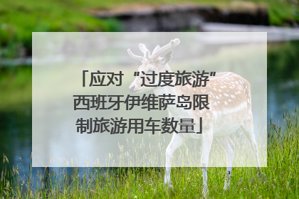 应对“过度旅游” 西班牙伊维萨岛限制旅游用车数量