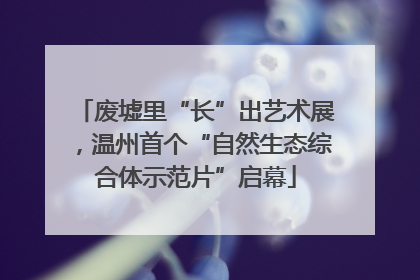 废墟里“长”出艺术展，温州首个“自然生态综合体示范片”启幕