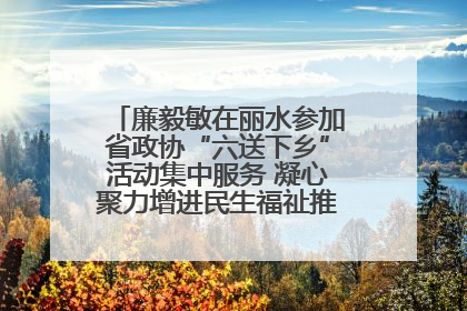 廉毅敏在丽水参加省政协“六送下乡”活动集中服务 凝心聚力增进民生福祉推进共同富裕