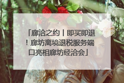廊洽之约丨即买即退！廊坊离境退税服务端口亮相廊坊经洽会