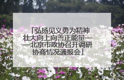 弘扬见义勇为精神 壮大向上向善正能量——北京市政协召开调研协商情况通报会
