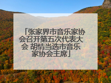 张家界市音乐家协会召开第五次代表大会 胡情当选市音乐家协会主席