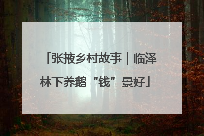 张掖乡村故事｜临泽林下养鹅“钱”景好