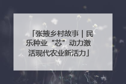 张掖乡村故事｜民乐种业“芯”动力激活现代农业新活力