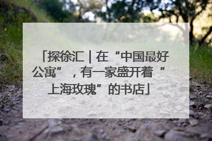 探徐汇｜在“中国最好公寓”，有一家盛开着“上海玫瑰”的书店