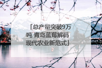 总产量突破9万吨 青岛蓝莓解码现代农业新范式