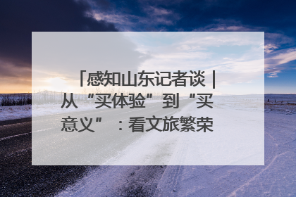 感知山东记者谈｜从“买体验”到“买意义”：看文旅繁荣背后的幸福新定义