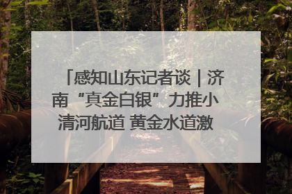 感知山东记者谈｜济南“真金白银”力推小清河航道 黄金水道激活区域经济新动能