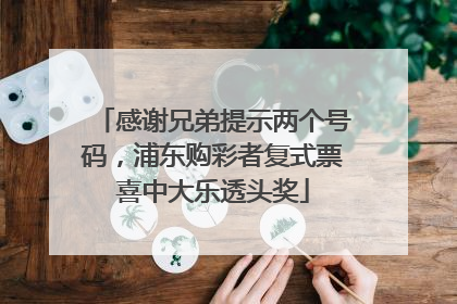 感谢兄弟提示两个号码，浦东购彩者复式票喜中大乐透头奖