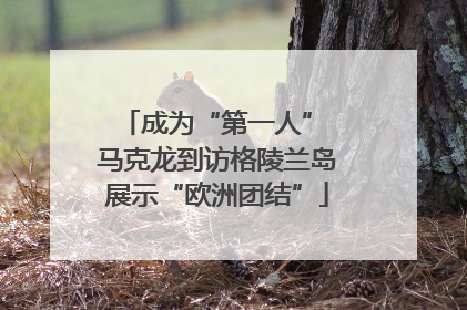 成为“第一人” 马克龙到访格陵兰岛展示“欧洲团结”