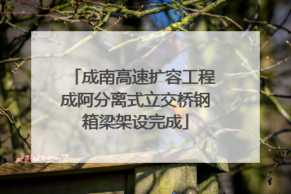 成南高速扩容工程成阿分离式立交桥钢箱梁架设完成