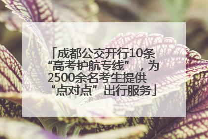 成都公交开行10条“高考护航专线”，为2500余名考生提供“点对点”出行服务