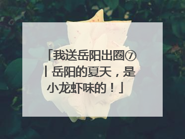 我送岳阳出圈⑦丨岳阳的夏天，是小龙虾味的！
