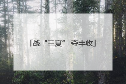 战“三夏” 夺丰收