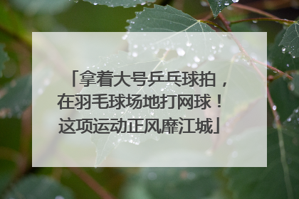 拿着大号乒乓球拍，在羽毛球场地打网球！这项运动正风靡江城
