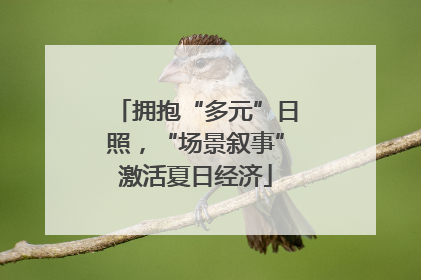 拥抱“多元”日照，“场景叙事”激活夏日经济