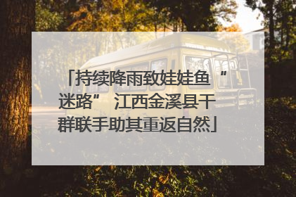 持续降雨致娃娃鱼“迷路” 江西金溪县干群联手助其重返自然