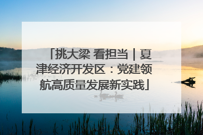 挑大梁 看担当｜夏津经济开发区：党建领航高质量发展新实践