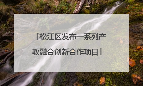松江区发布一系列产教融合创新合作项目