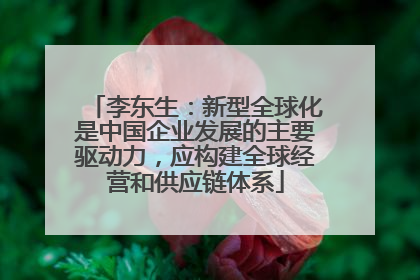 李东生：新型全球化是中国企业发展的主要驱动力，应构建全球经营和供应链体系