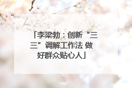 李梁勃：创新“三三”调解工作法 做好群众贴心人