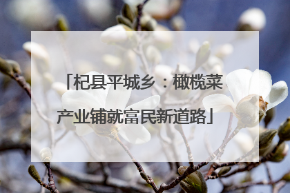 杞县平城乡：橄榄菜产业铺就富民新道路