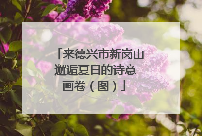 来德兴市新岗山 邂逅夏日的诗意画卷（图）