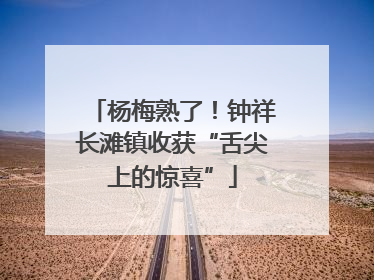 杨梅熟了！钟祥长滩镇收获“舌尖上的惊喜”