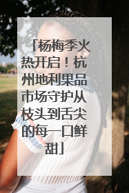 杨梅季火热开启！杭州地利果品市场守护从枝头到舌尖的每一口鲜甜