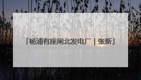 杨浦有座闸北发电厂｜张新