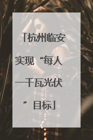 杭州临安实现“每人一千瓦光伏”目标