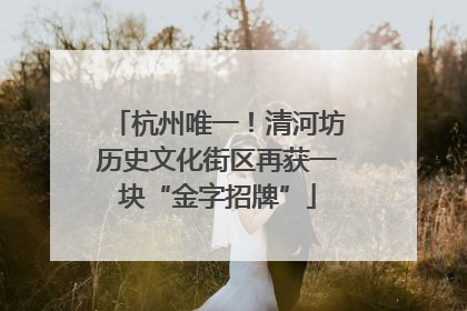 杭州唯一！清河坊历史文化街区再获一块“金字招牌”