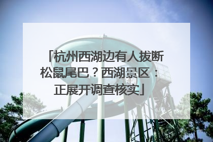 杭州西湖边有人拔断松鼠尾巴？西湖景区：正展开调查核实