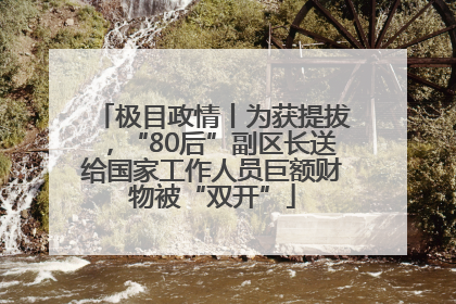 极目政情丨为获提拔，“80后”副区长送给国家工作人员巨额财物被“双开”