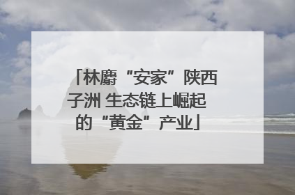 林麝“安家”陕西子洲 生态链上崛起的“黄金”产业