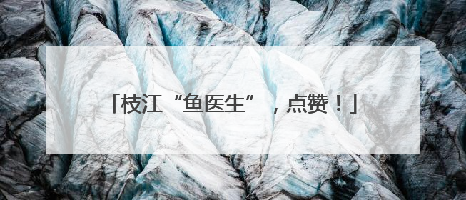 枝江“鱼医生”，点赞！