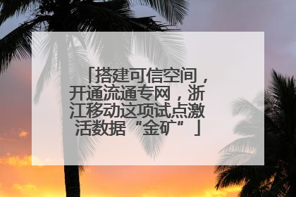 搭建可信空间，开通流通专网，浙江移动这项试点激活数据“金矿”