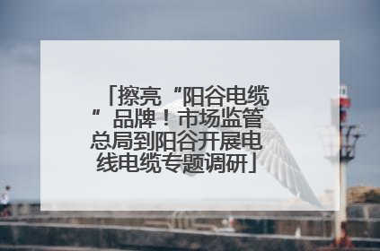 擦亮“阳谷电缆”品牌！市场监管总局到阳谷开展电线电缆专题调研