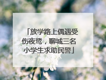放学路上偶遇受伤夜鹭，聊城三名小学生求助民警