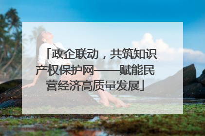 政企联动，共筑知识产权保护网——赋能民营经济高质量发展