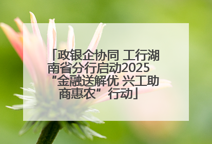 政银企协同 工行湖南省分行启动2025“金融送解优 兴工助商惠农”行动