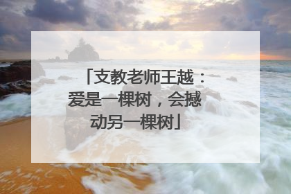 支教老师王越：爱是一棵树，会撼动另一棵树
