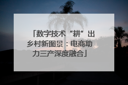 数字技术“耕”出乡村新图景：电商助力三产深度融合