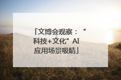 文博会观察：“科技+文化”AI应用场景吸睛