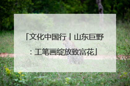 文化中国行丨山东巨野：工笔画绽放致富花