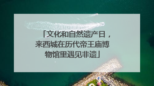 文化和自然遗产日，来西城在历代帝王庙博物馆里遇见非遗