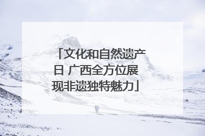 文化和自然遗产日 广西全方位展现非遗独特魅力