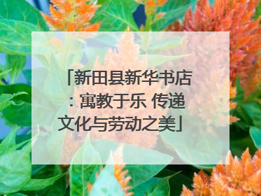 新田县新华书店：寓教于乐 传递文化与劳动之美
