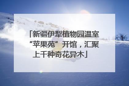 新疆伊犁植物园温室“苹果苑”开馆，汇聚上千种奇花异木