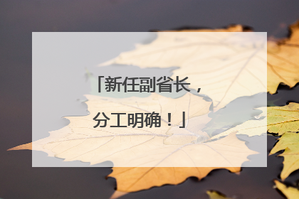 新任副省长，分工明确！